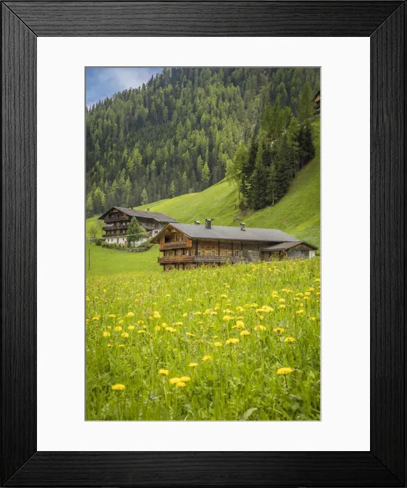 Framed Print : Summer meadow and mountain farms in Arntal, Villgratental, East Tyrol, Tyrol, Austria Framed Print : Summer meadow and mountain farms in Arntal, Villgratental, East Tyrol, Tyrol, Austria