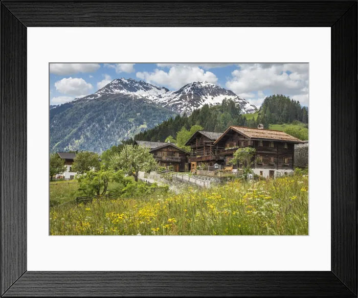 Framed Print : Summer meadow and farms in Obermauern, Virgental, East Tyrol, Tyrol, Austria Framed Print : Summer meadow and farms in Obermauern, Virgental, East Tyrol, Tyrol, Austria