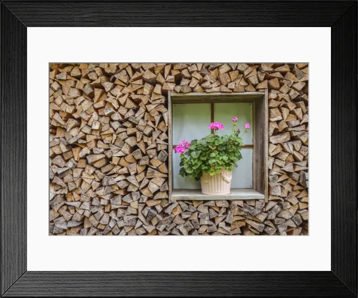 Framed Print : Stacked firewood and potted plant at historic farm near Seefeld in Tirol, Tyrol, Austria Framed Print : Stacked firewood and potted plant at historic farm near Seefeld in Tirol, Tyrol, Austria