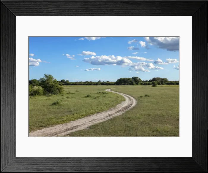 Framed Print : Road, Nxai Pan National Park, Botswana Framed Print : Road, Nxai Pan National Park, Botswana