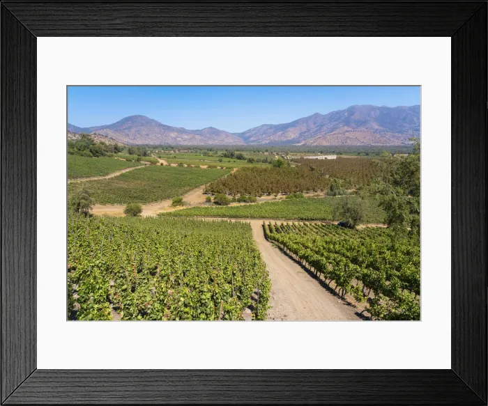 Framed Print : Vineyards with The Andes mountains on horizon, El Principal winery, Pirque, Maipo Valley, Cordillera Province, Santiago Metropolitan Region, Chile Framed Print : Vineyards with The Andes mountains on horizon, El Principal winery, Pirque, Maipo Valley, Cordillera Province, Santiago Metropolitan Region, Chile