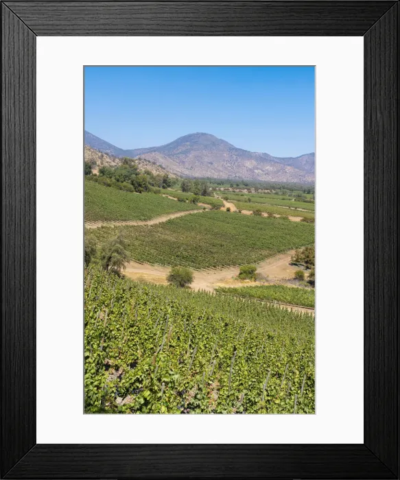 Framed Print : Vineyards with The Andes mountains on horizon, El Principal winery, Pirque, Maipo Valley, Cordillera Province, Santiago Metropolitan Region, Chile Framed Print : Vineyards with The Andes mountains on horizon, El Principal winery, Pirque, Maipo Valley, Cordillera Province, Santiago Metropolitan Region, Chile