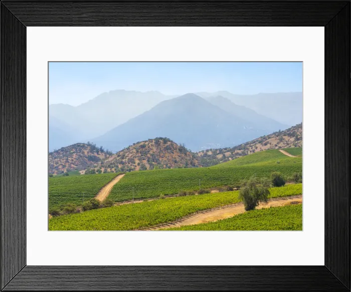 Framed Print : Vineyards with The Andes mountains on horizon, El Principal winery, Pirque, Maipo Valley, Cordillera Province, Santiago Metropolitan Region, Chile Framed Print : Vineyards with The Andes mountains on horizon, El Principal winery, Pirque, Maipo Valley, Cordillera Province, Santiago Metropolitan Region, Chile