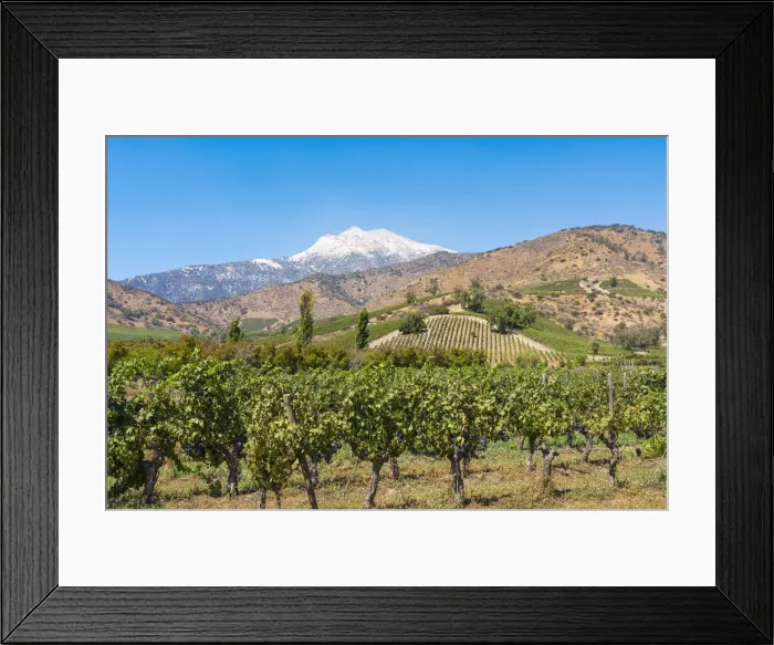 Framed Print : Vineyards with Cerro Blanco on backdrop, El Principal winery, Pirque, Maipo Valley, Cordillera Province, Santiago Metropolitan Region, Chile Framed Print : Vineyards with Cerro Blanco on backdrop, El Principal winery, Pirque, Maipo Valley, Cordillera Province, Santiago Metropolitan Region, Chile