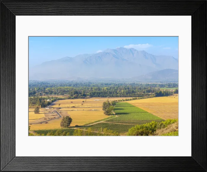 Framed Print : Vineyards with The Andes mountains on horizon, Haras de Pirque winery, Pirque, Maipo Valley, Cordillera Province, Santiago Metropolitan Region, Chile