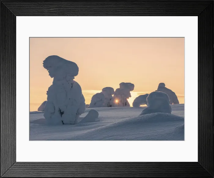 Framed Print : Frozen trees in the snowy woods at Riisitunturi National Park during sunset, Posio, Lapland, Finland