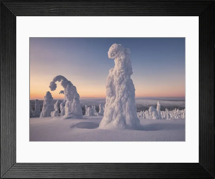 Framed Print : Frozen trees in the snowy woods at Riisitunturi National Park during sunset, Posio, Lapland, Finland Framed Print : Frozen trees in the snowy woods at Riisitunturi National Park during sunset, Posio, Lapland, Finland
