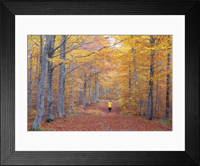 Framed Print : Hiker in the Apennines, Tuscan-Emilian National Park, municipality of Ventasso, Reggio Emilia provincie, Emilia Romagna district, Italy Framed Print : Hiker in the Apennines, Tuscan-Emilian National Park, municipality of Ventasso, Reggio Emilia provincie, Emilia Romagna district, Italy