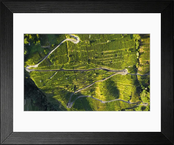 Framed Print : Aerial view of Grumello wine road. Valtellina, Lombardy, Italy