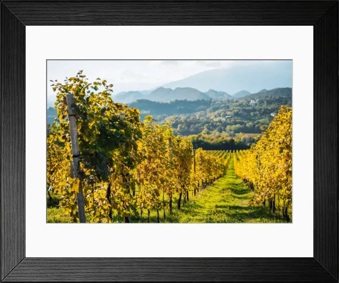Framed Print : Hills and vineyards near Valdobbiadene, on the road of Prosecco, famous white sparkling wine. Autumn scene, Veneto, Italy Framed Print : Hills and vineyards near Valdobbiadene, on the road of Prosecco, famous white sparkling wine. Autumn scene, Veneto, Italy