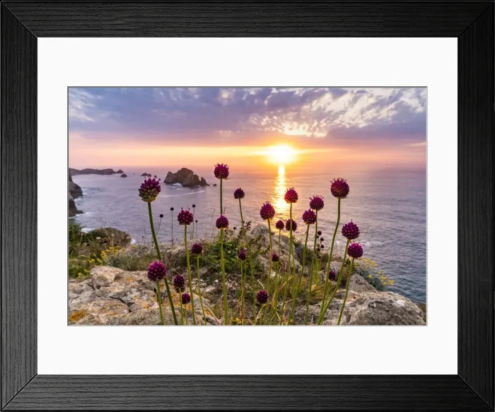 Framed Print : Sea and flowers at sunset in the rocky beach of Costa Quebrada. Playa del Portio, Liencres, Cantabria, Spain Framed Print : Sea and flowers at sunset in the rocky beach of Costa Quebrada. Playa del Portio, Liencres, Cantabria, Spain