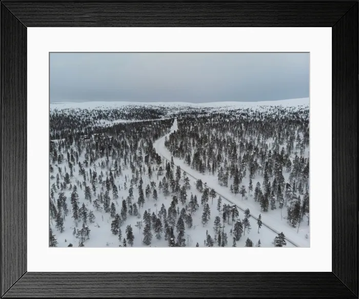 Framed Print : Europe, Finland, Saariselka, forest at sunset Framed Print : Europe, Finland, Saariselka, forest at sunset