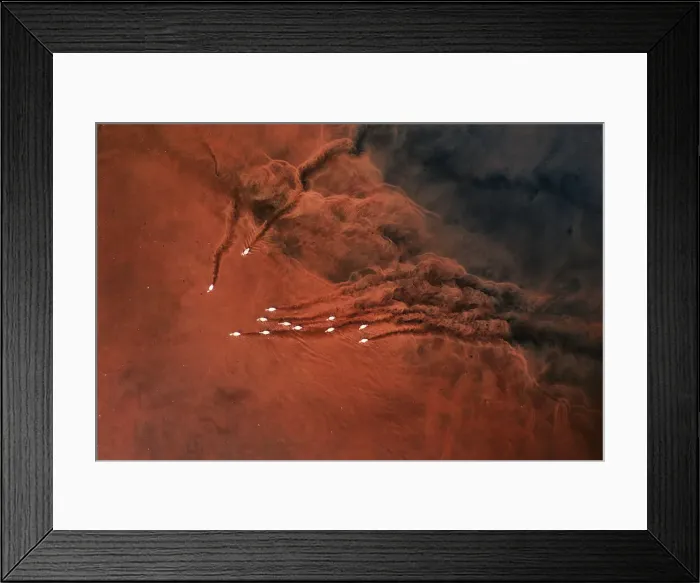 Framed Print : Lesser flamingos in Lake Bogoria, Kenya Framed Print : Lesser flamingos in Lake Bogoria, Kenya