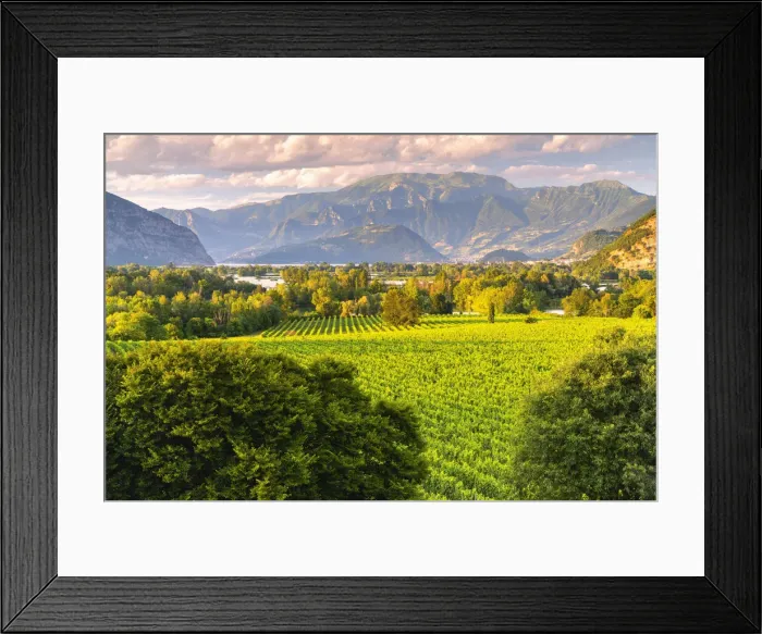 Framed Print : Franciacorta in summer season, Brescia province in Lombardy district, Italy