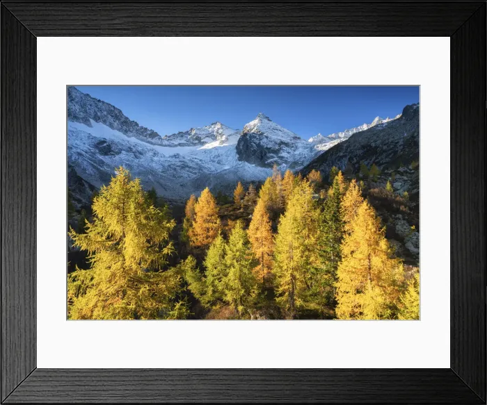 Framed Print : Autumn in Presena, Tonale pass in Trentino alto Adige, Italy