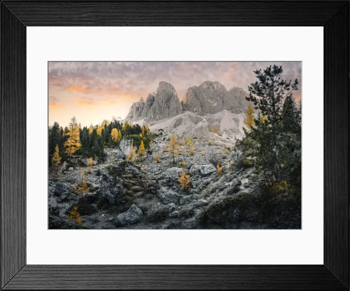 Framed Print : Sunrise in Odle Mountains group with yellow trees, Funes Valley, South Tyrol, Italy