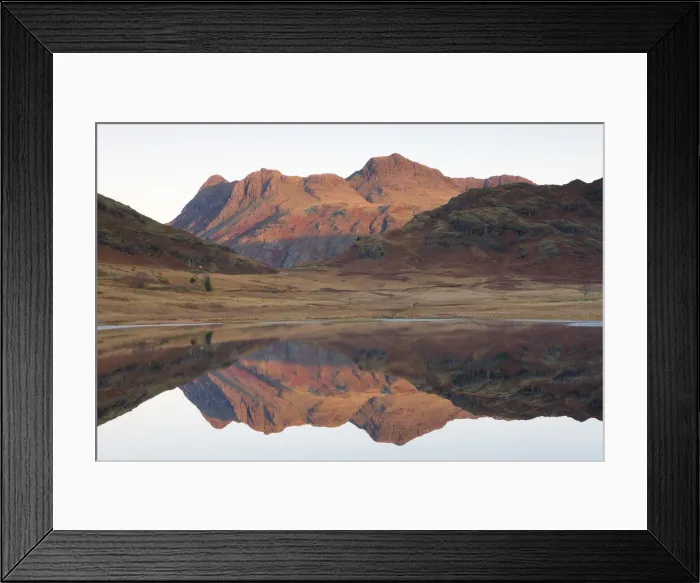 Framed Print : The Langdale Pikes glow with the first light of dawn, reflected in Blea Tarn, Lake District National Park, Cumbria, England. Autumn (November) 2009 Framed Print : The Langdale Pikes glow with the first light of dawn, reflected in Blea Tarn, Lake District National Park, Cumbria, England. Autumn (November) 2009