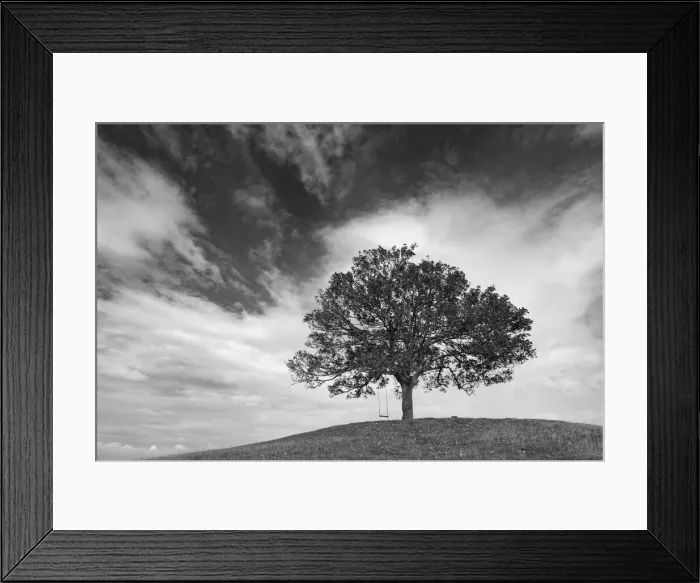 Framed Print : Hilltop tree with swing, Burrow Farm, Somerset, England. Autumn (September) 2020 Framed Print : Hilltop tree with swing, Burrow Farm, Somerset, England. Autumn (September) 2020