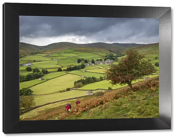 Two walkers walking on the Pennine Way through Swaledale in the Yorkshire Dales National Park, Thwaite, Yorkshire, England. Autumn (October) 2021