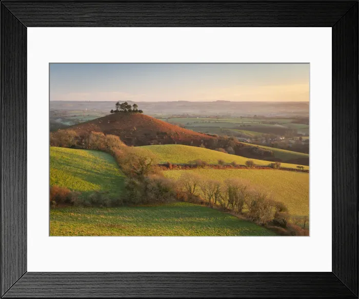 Framed Print : Winter morning sunshine on Colmers Hill near Symondsbury in Dorset, England. Winter (January) 2022 Framed Print : Winter morning sunshine on Colmers Hill near Symondsbury in Dorset, England. Winter (January) 2022