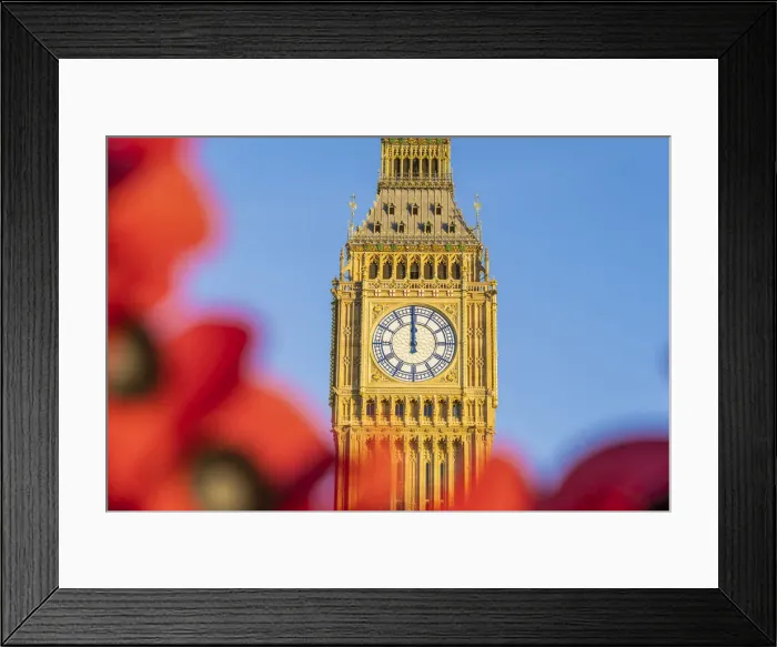 Framed Print : Poppies and Big Ben, also known as Elizabeth Tower. Part of the Houses of Parliament and a Unesco World Heritage site, London, England, UK Framed Print : Poppies and Big Ben, also known as Elizabeth Tower. Part of the Houses of Parliament and a Unesco World Heritage site, London, England, UK