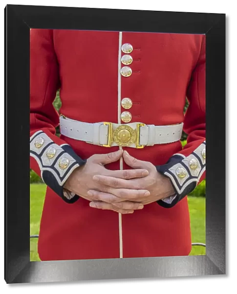 Queens guards uniform detail, London, England, Uk