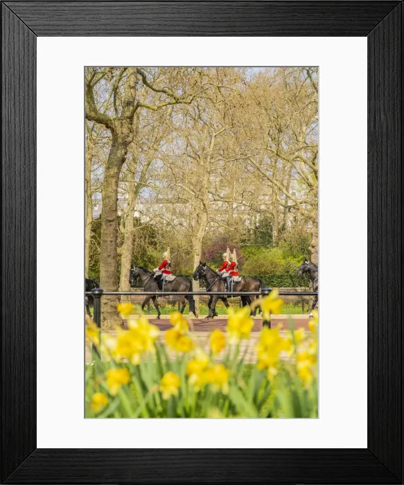 Framed Print : Queens horseguards during Changing of the guards, London, England, Uk Framed Print : Queens horseguards during Changing of the guards, London, England, Uk