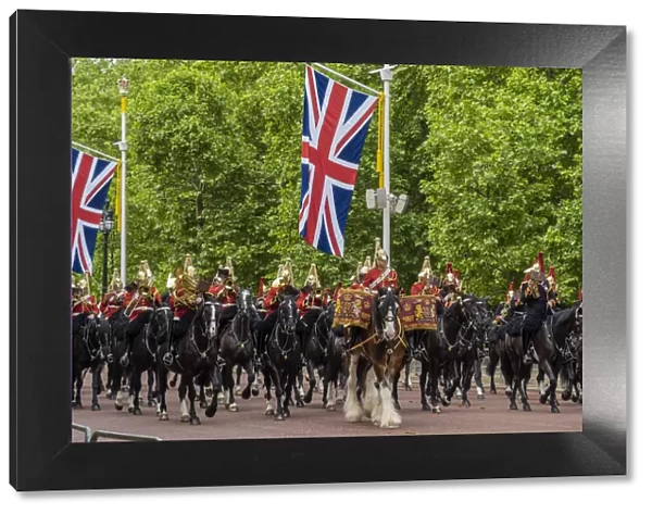 Horseguards, Trooping the Colour, London, England, Uk