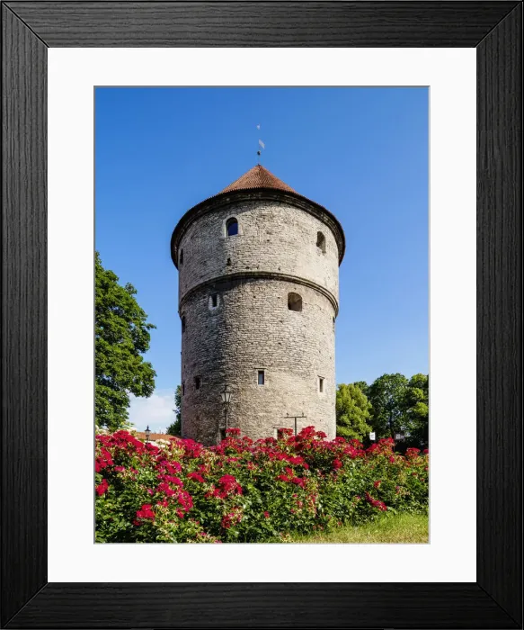 Framed Print : Kiek in de Kok Tower, Old Town Walls, Tallinn, Estonia Framed Print : Kiek in de Kok Tower, Old Town Walls, Tallinn, Estonia