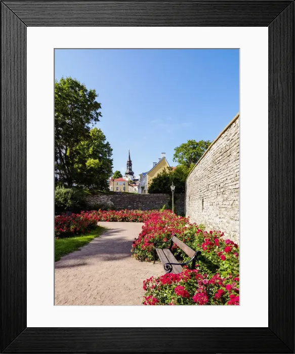 Framed Print : Komandandi Garden, Old Town Walls, Tallinn, Estonia Framed Print : Komandandi Garden, Old Town Walls, Tallinn, Estonia