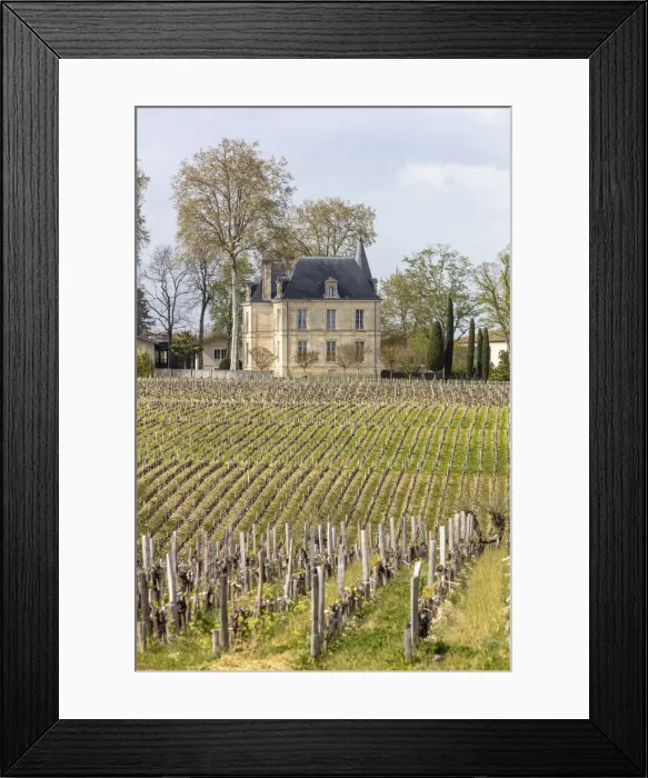 Framed Print : France, Nouvelle-Aquitaine, Gironde, Medoc, Chateau Pichon Longueville Comtesse de Lalande Framed Print : France, Nouvelle-Aquitaine, Gironde, Medoc, Chateau Pichon Longueville Comtesse de Lalande