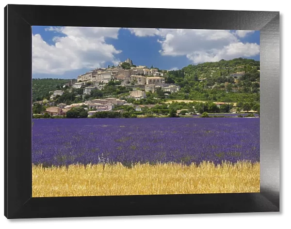 Lavendelfeld und Dorf Simiane la-Rotonde, Lavender (Lavendula augustifolia), Simiane la-Rotonde, Alpes-de-Haute-Provence, Provence-Alpes-Cote d Azur, Provence, France