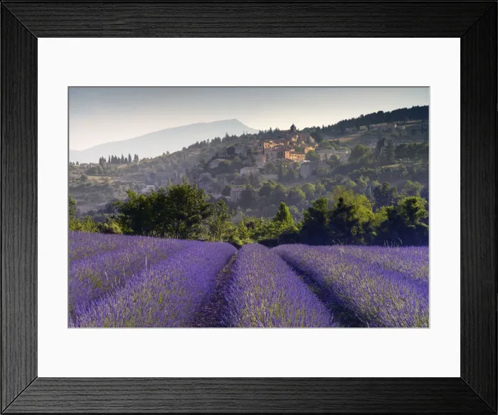 Framed Print : Rows of Lavender in front of mountain village Aurel, Vaucluse, Provence, Provence-Alpes-Cote d Azur, Alpes de Haute Provence, South France, France Framed Print : Rows of Lavender in front of mountain village Aurel, Vaucluse, Provence, Provence-Alpes-Cote d Azur, Alpes de Haute Provence, South France, France