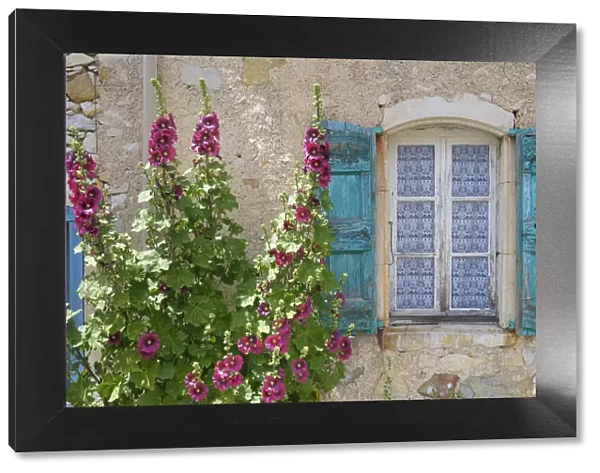 Hollyhocks beside window in hilltop village of La Rochegiron, Provence, Provence-Alpes-Cote d Azur, Alpes de Haute Provence, France