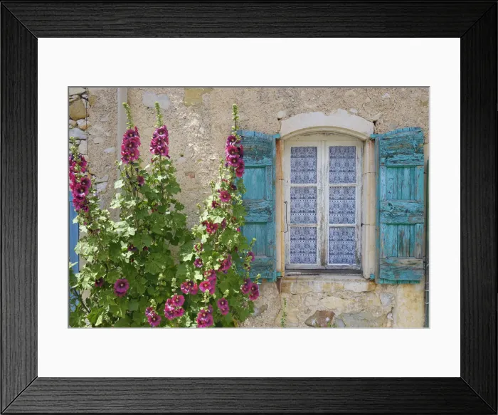 Framed Print : Hollyhocks beside window in hilltop village of La Rochegiron, Provence, Provence-Alpes-Cote d Azur, Alpes de Haute Provence, France