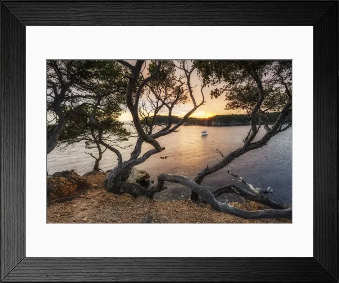 Framed Print : Pine trees at the Plage de l'Estagnol, at the Sentier du littoral, Bormes les Mimosas, Provence-Alpes-Cote d'Azur, Mediterranean Sea, French Riviera, France Framed Print : Pine trees at the Plage de l'Estagnol, at the Sentier du littoral, Bormes les Mimosas, Provence-Alpes-Cote d'Azur, Mediterranean Sea, French Riviera, France
