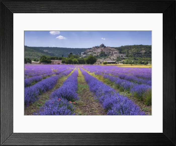 Framed Print : Lavender field at Simiane la Rotonde (Lavendula augustifolia), Alpes-de-Haute-Provence, Provence-Alpes-Cote d Azur, Provence, Southern France, France