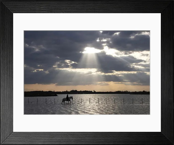 Framed Print : Europe, France, Provence-Alpes-Cote d Azur, Bouches-du-Rhone, Camargue, Saintes-Maries-de-la-Mer, a guardian rides a Camargue white horse run through the marshes of the Camargue at sunset Framed Print : Europe, France, Provence-Alpes-Cote d Azur, Bouches-du-Rhone, Camargue, Saintes-Maries-de-la-Mer, a guardian rides a Camargue white horse run through the marshes of the Camargue at sunset