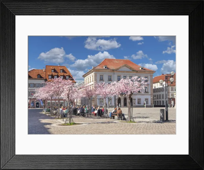 Framed Print : Cherry blossom at Rathausplatz Square, Landau in der Pfalz, German Wine Route, Rhineland-Palatinate, Germany Framed Print : Cherry blossom at Rathausplatz Square, Landau in der Pfalz, German Wine Route, Rhineland-Palatinate, Germany