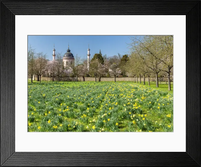 Framed Print : Cherry blossom with mosque in the Baroque Garden of Schloss Schwetzingen Castle, Schwetzingen, Baden-Wurttemberg, Germany Framed Print : Cherry blossom with mosque in the Baroque Garden of Schloss Schwetzingen Castle, Schwetzingen, Baden-Wurttemberg, Germany