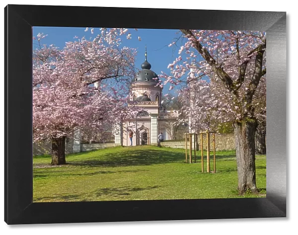 Cherry blossom with mosque in the Baroque Garden of Schloss Schwetzingen Castle, Schwetzingen, Baden-Wurttemberg, Germany