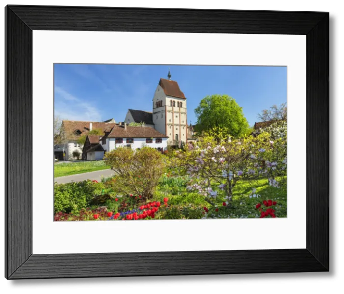 Framed Print : Minster of St. Mary and Marcus, Mittelzell, UNESCO World Heritage Site, Reichenau Island, Lake Constance, Baden Wurttemberg, Germany Framed Print : Minster of St. Mary and Marcus, Mittelzell, UNESCO World Heritage Site, Reichenau Island, Lake Constance, Baden Wurttemberg, Germany