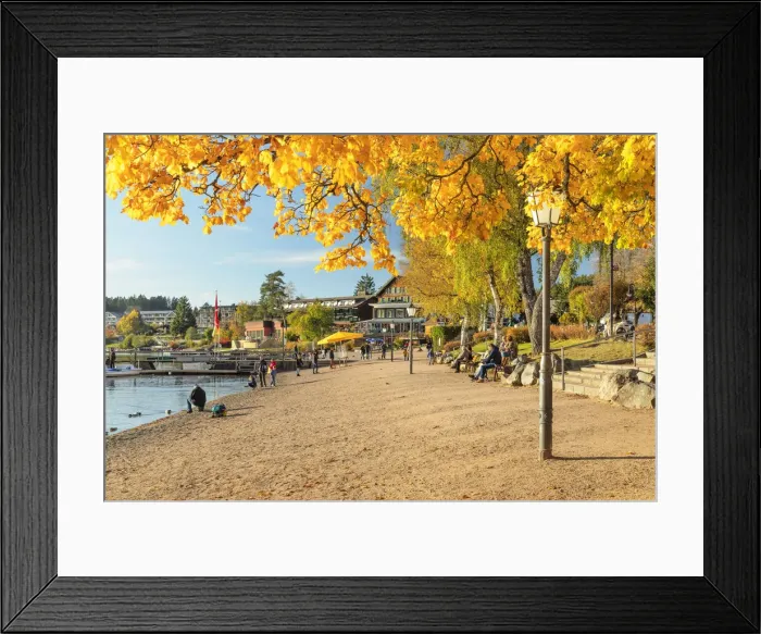 Framed Print : Lakefront on Lake Titisee, Southern Black Forest, Baden-Wurttemberg, Germany