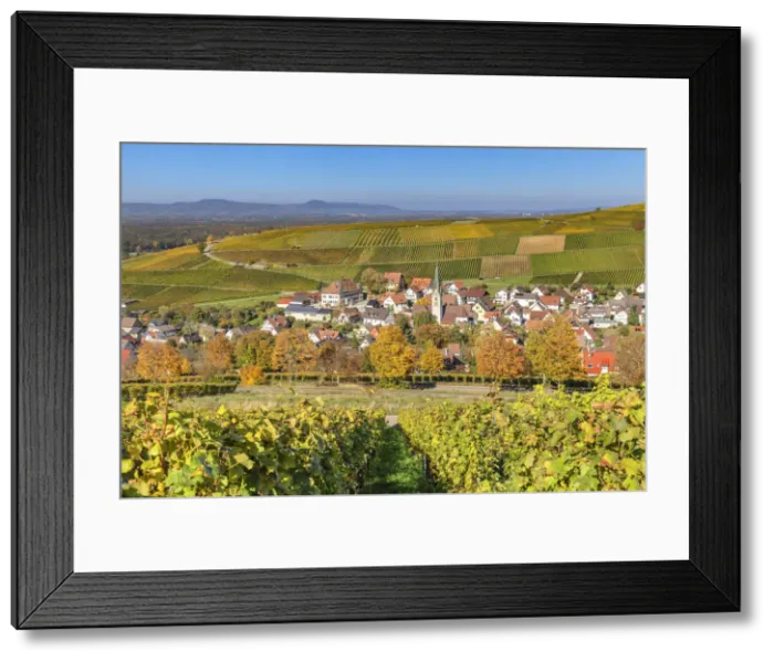 Framed Print : View across the vineyards of Ebringen to Kaiserstuhl, Markgrafler Land, Black Forest, Baden-Wurttemberg, Germany Framed Print : View across the vineyards of Ebringen to Kaiserstuhl, Markgrafler Land, Black Forest, Baden-Wurttemberg, Germany