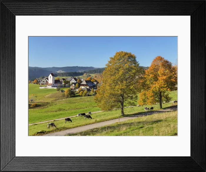 Framed Print : Lenzkirch-Saig in autumn, Black Forest, Baden-Wurttemberg, Germany Framed Print : Lenzkirch-Saig in autumn, Black Forest, Baden-Wurttemberg, Germany