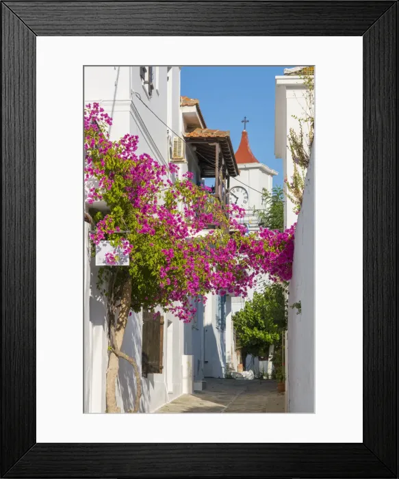 Framed Print : Bougainvillea, Skopelos Town, Skopelos, Sporade Islands, Greece Framed Print : Bougainvillea, Skopelos Town, Skopelos, Sporade Islands, Greece