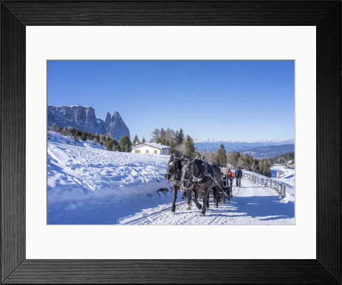 Framed Print : horse-drawn sleigh ride on Dolomites Alps, Italy. Siusi allo Sciliar Framed Print : horse-drawn sleigh ride on Dolomites Alps, Italy. Siusi allo Sciliar