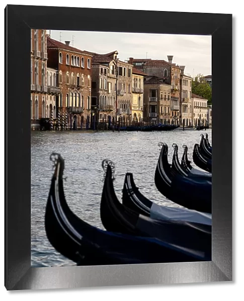 Venice, Veneto, Italy. Gondolas bows and Grand Canal at sunset