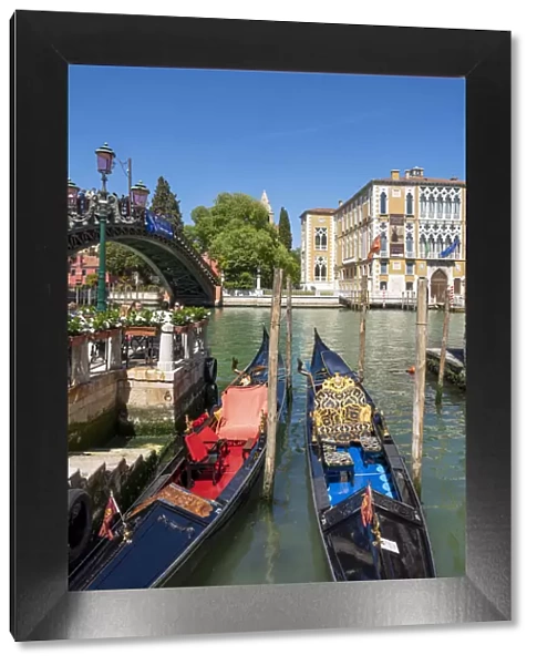Venice, Veneto, Italy. Grand Canal, gondolas and Accademia Bridge