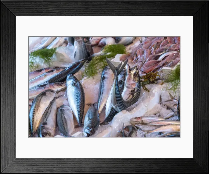 Framed Print : europe, Italy, Sicily. Palermo, fish stand at the market mercato del capo Framed Print : europe, Italy, Sicily. Palermo, fish stand at the market mercato del capo